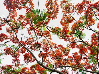 新《无主之地传说》已在韩国完成分级 新消息即将到来